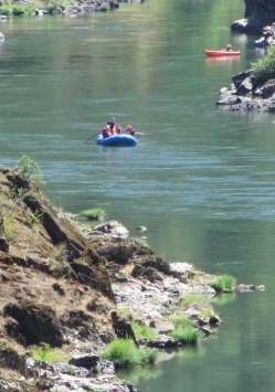 Rogue River Guided Rafting Trip